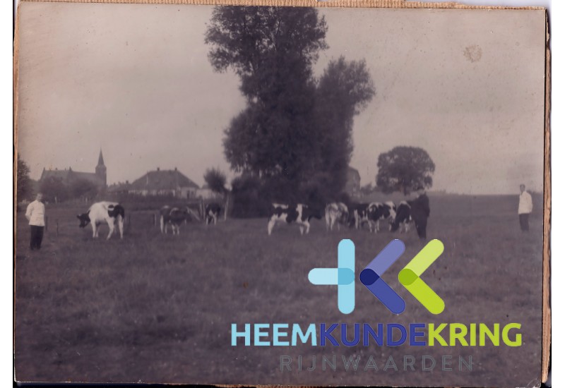 uit Coll. J.Peet . Coll HKR (14)